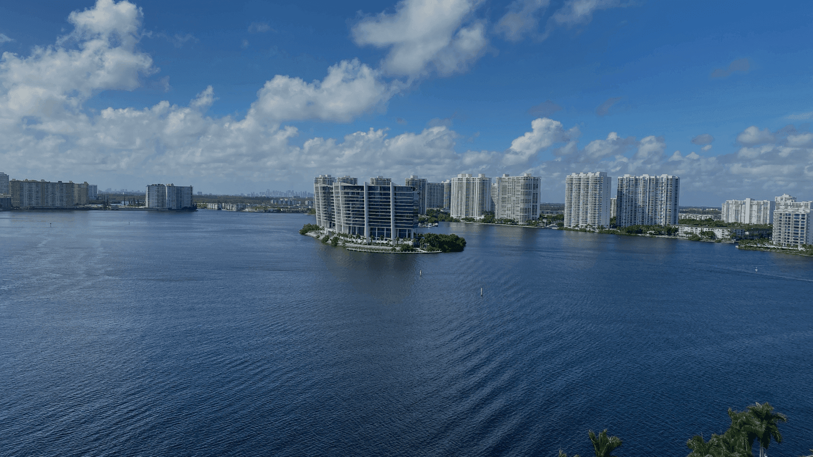 Success Stories: How Local Businesses in Florida Win with Digital Marketing