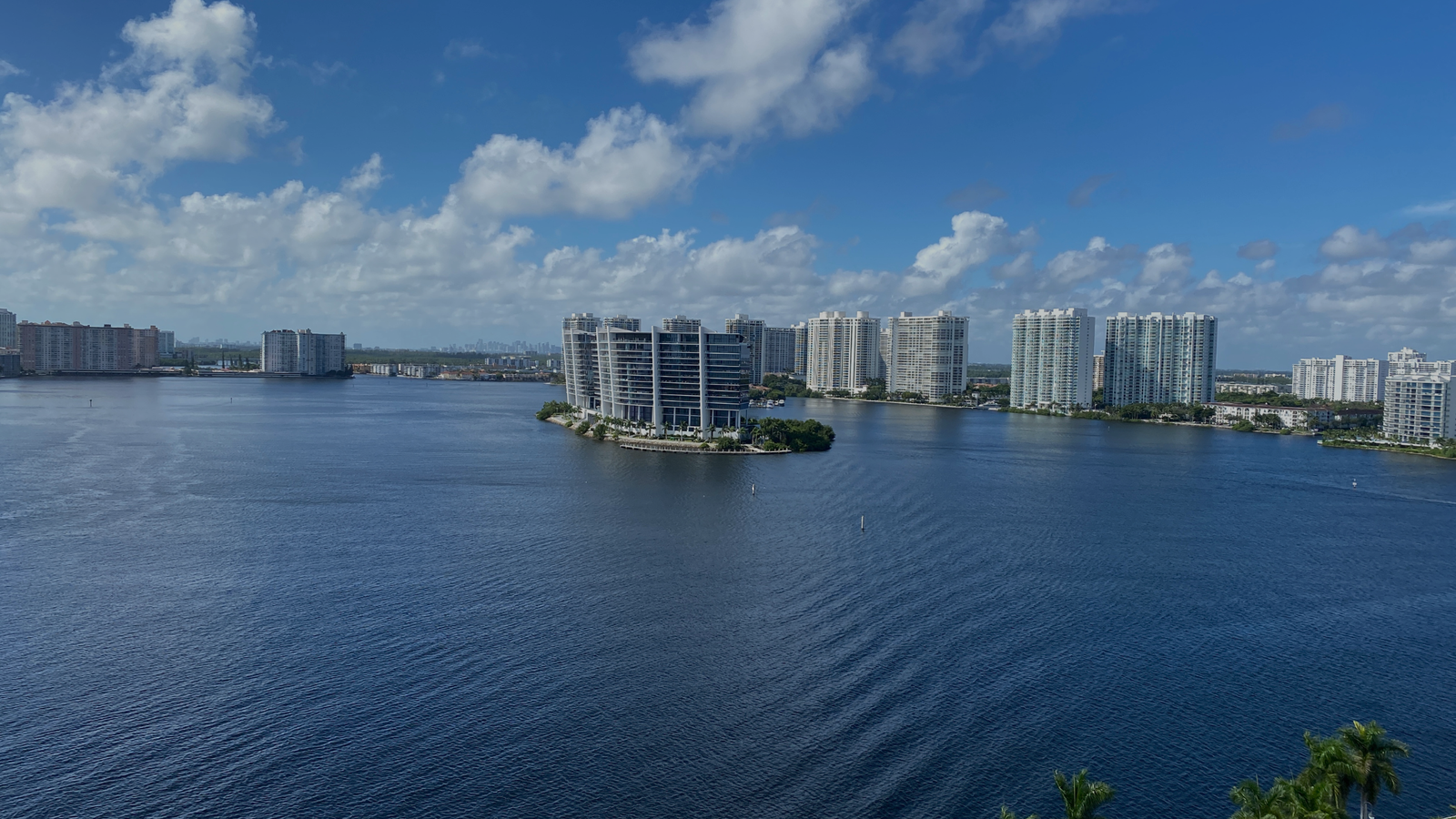 Success Stories: How Local Businesses in Florida Win with Digital Marketing